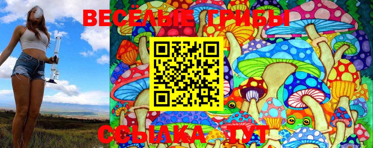 Галлюциногенные грибы GOLDEN TEACHER Зеленогорск