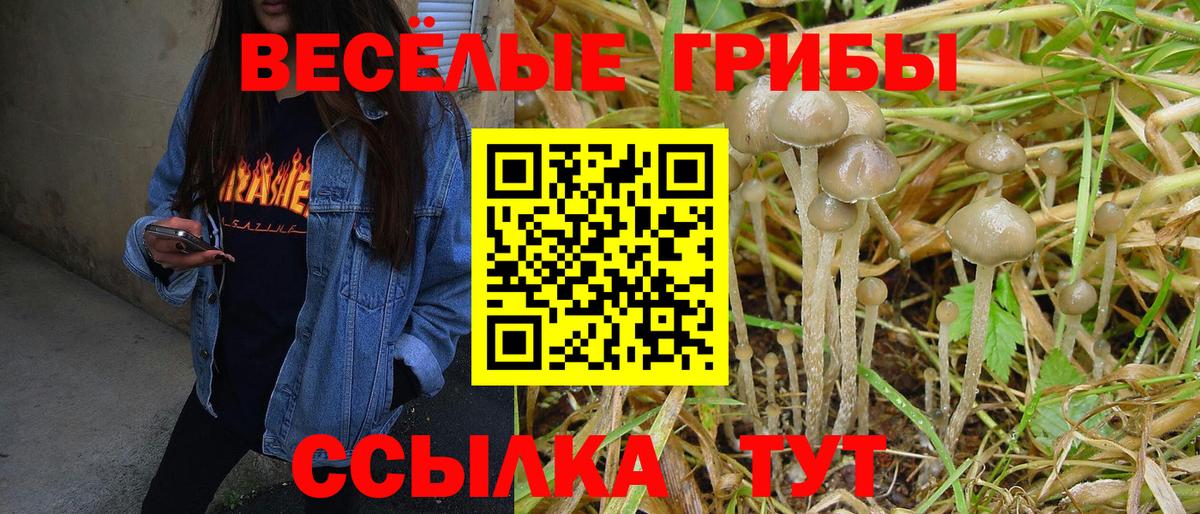 Зеленогорск  Галлюциногенные грибы Magic Shrooms  Вход с VPN 